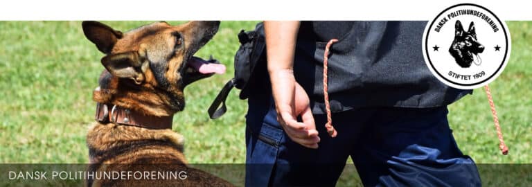 Danskpolitihundeforening